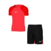 Conjunto Nike Academy Pro Training Niño