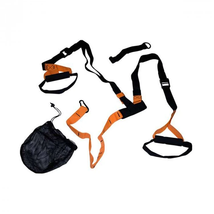 Dynamic Trainer 3 Dynamic Trainer